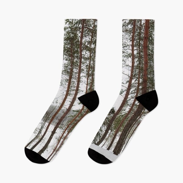 Item preview, Pines on white designed and sold by Jouko Lehto Photography.