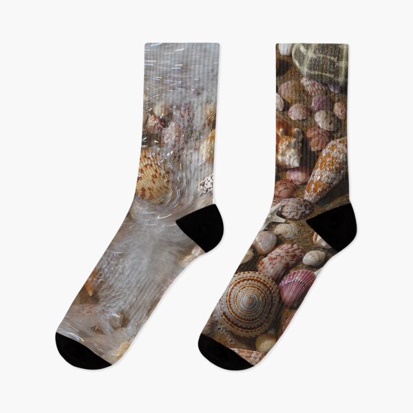 Item preview, Favorite Seashells designed and sold by CommandoCrane.