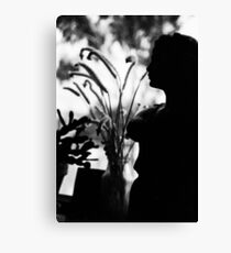 little statue Canvas Print