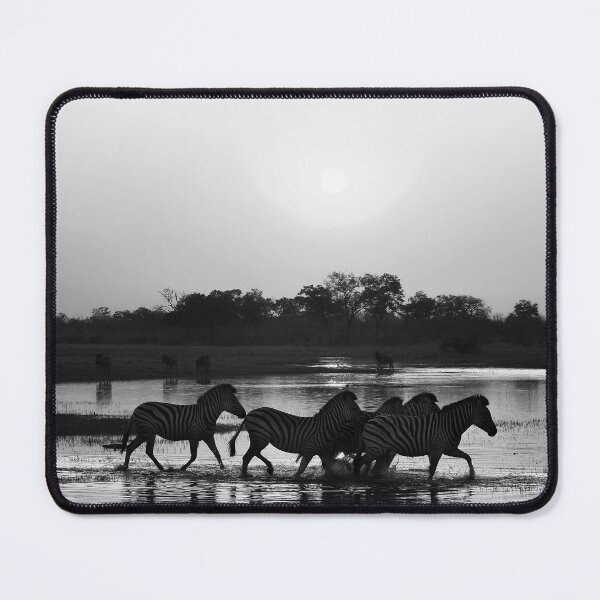Item preview, Zebra Sunset in Black and White designed and sold by Kay Brewer.
