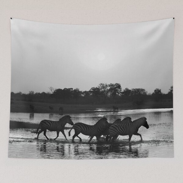 Item preview, Zebra Sunset in Black and White designed and sold by Kay Brewer.