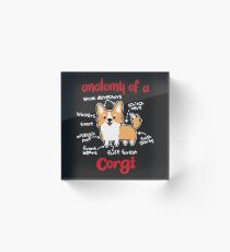 Bloque acrílico Anatomía de un Corgi Cute Dog Lover Gift