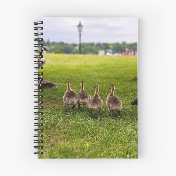 Item preview, Geese designed and sold by Daniel's Destinations.