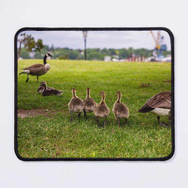 Item preview, Geese designed and sold by Daniel's Destinations.