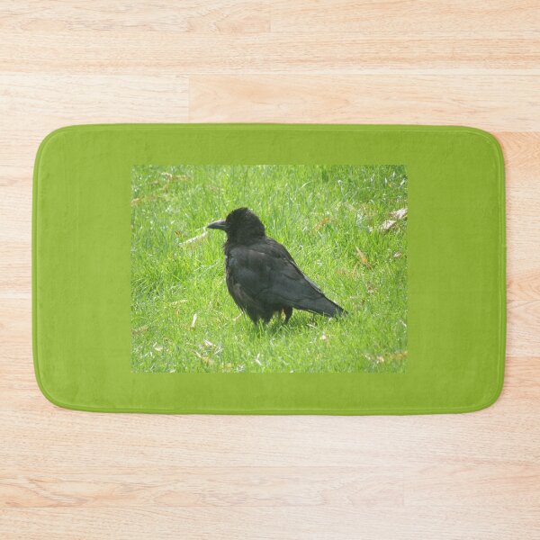 Item preview, Bad Hair Day Crow Photograph designed and sold by naturegallery.