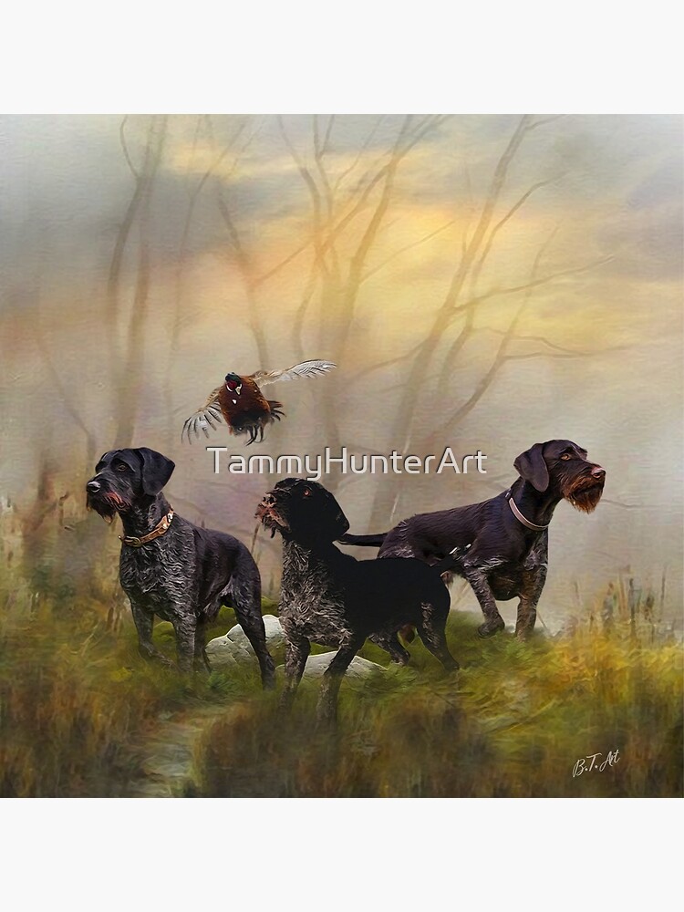 Deutsch drahthaar gundog