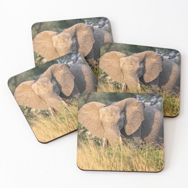 Item preview, Lone Elephant Botswana Africa designed and sold by PhotoArt by Joan Carroll.