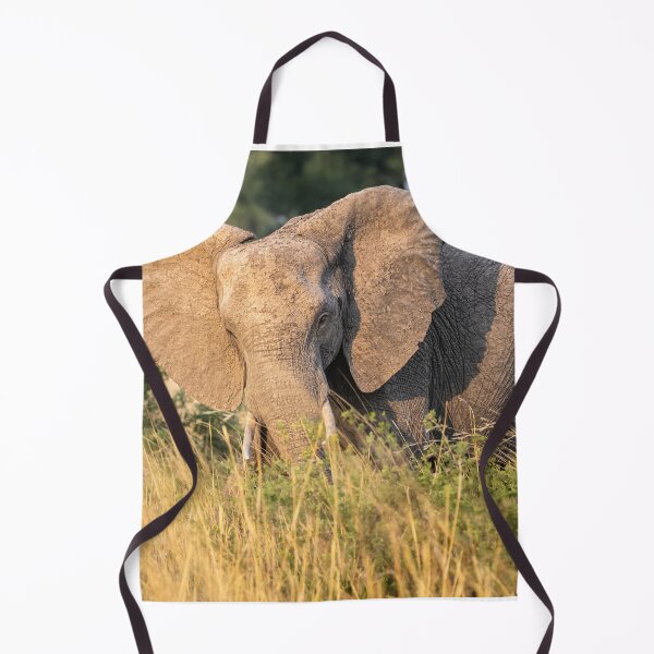 Item preview, Lone Elephant Botswana Africa designed and sold by PhotoArt by Joan Carroll.