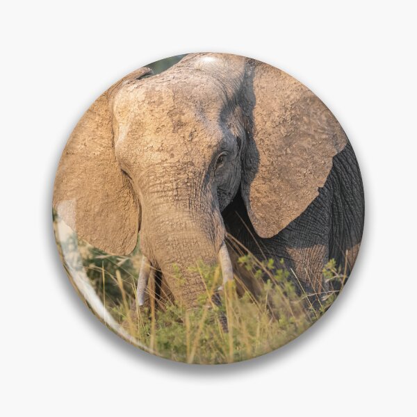 Item preview, Lone Elephant Botswana Africa designed and sold by PhotoArt by Joan Carroll.