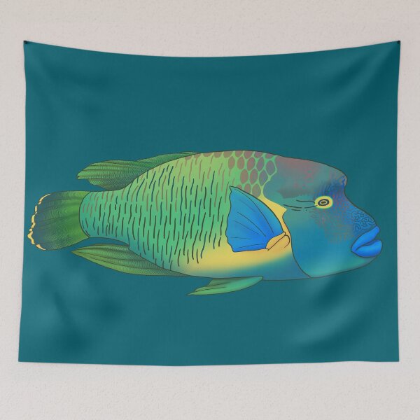Item preview, Napoleonfish (Humphead Wrasse) designed and sold by Zia Frazier.