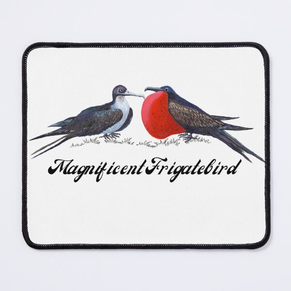 Item preview, magnificent frigatebird designed and sold by Roy & Tiffany.