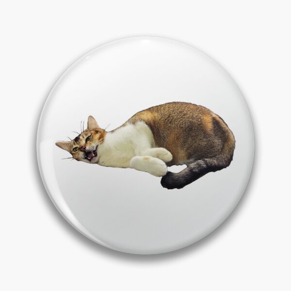 Item preview, Shrimp Dumpling the Cat designed and sold by Anna Au.