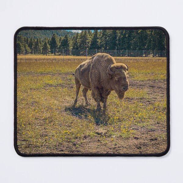 Item preview, Buffalo designed and sold by Craig Kauzmann.