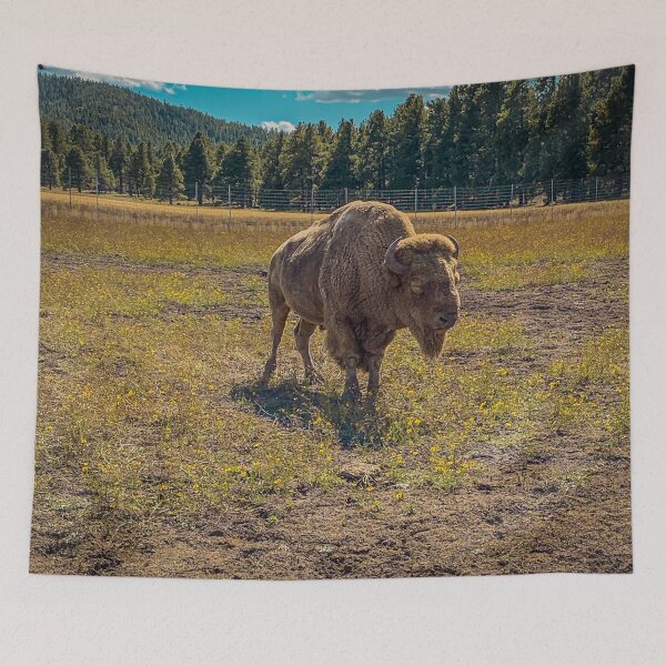 Item preview, Buffalo designed and sold by Craig Kauzmann.