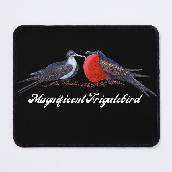 Item preview, Magnificent Frigatebird designed and sold by Roy & Tiffany.