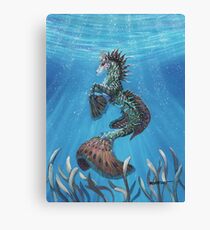 Hippocampus Canvas Print