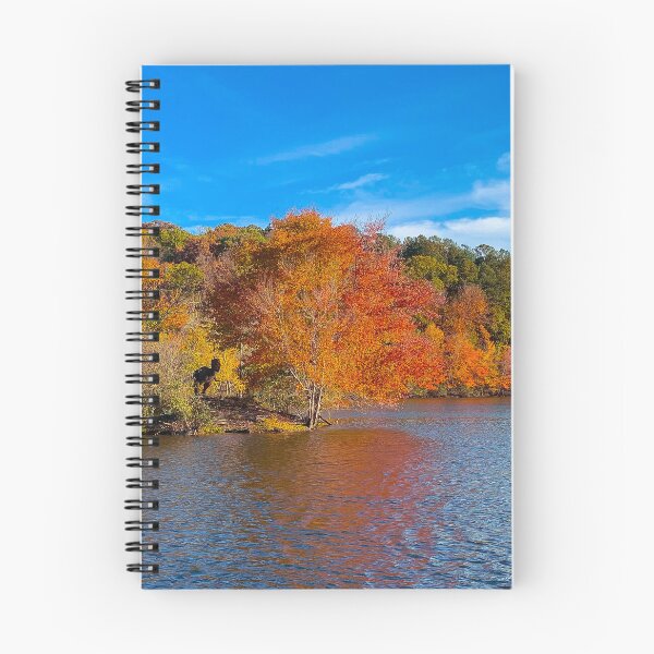 Item preview, Little Mulberry Park at Miller Lake designed and sold by Craig Kauzmann.