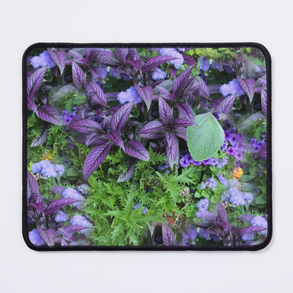 Item preview, Persian Shield Coleus in Garden designed and sold by Corey Ford.