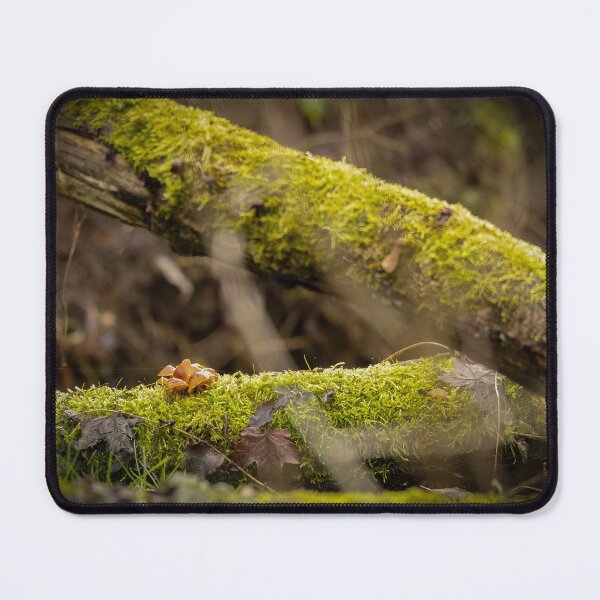 Item preview, Wild mushrooms on an old mossy tree designed and sold by Piotr Front.