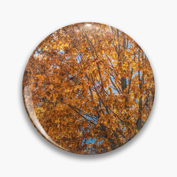 Item preview, Fall in the Trees designed and sold by Craig Kauzmann.
