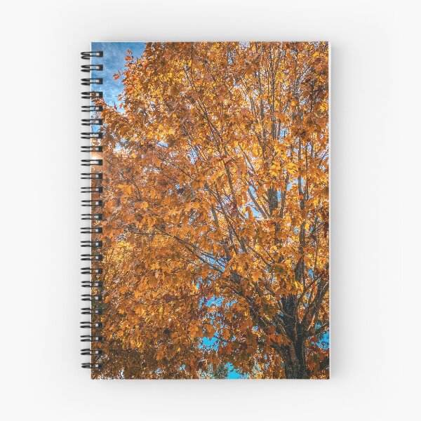 Item preview, Fall in the Trees designed and sold by Craig Kauzmann.