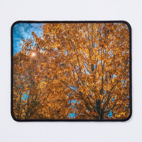Item preview, Fall in the Trees designed and sold by Craig Kauzmann.
