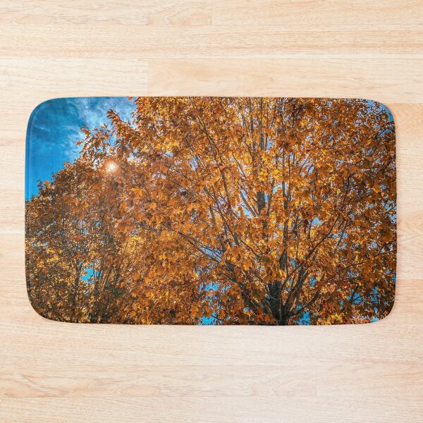 Item preview, Fall in the Trees designed and sold by Craig Kauzmann.