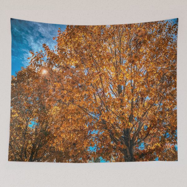 Item preview, Fall in the Trees designed and sold by Craig Kauzmann.