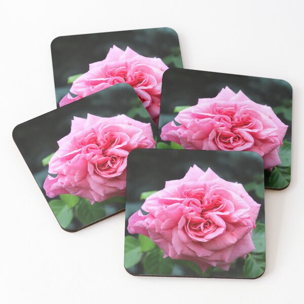 Item preview, Pink Rose Garden Bush designed and sold by Corey Ford.