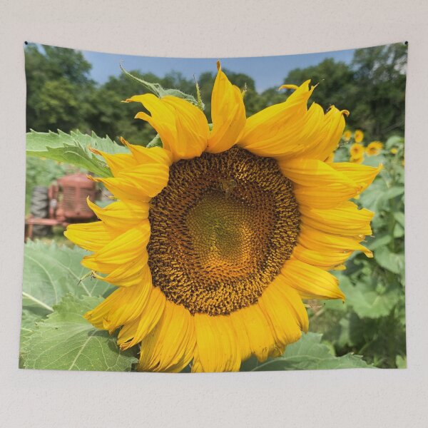 Item preview, Sunflower  designed and sold by Craig Kauzmann.