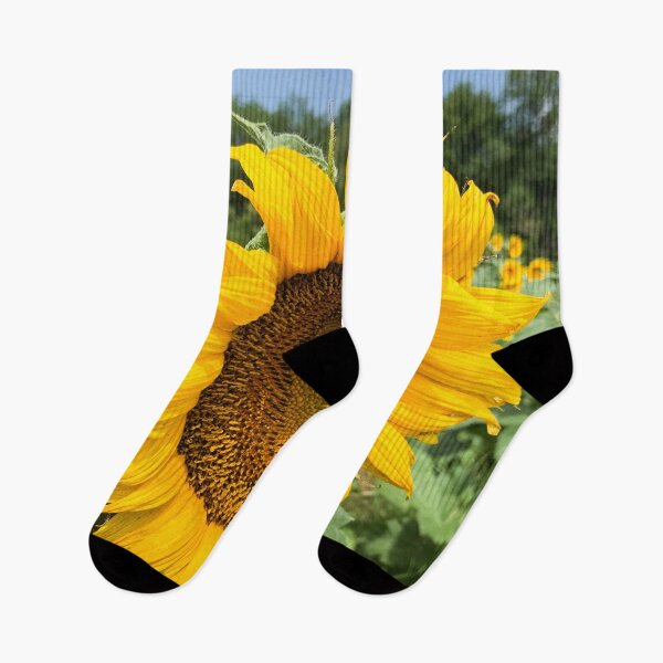 Item preview, Sunflower  designed and sold by Craig Kauzmann.