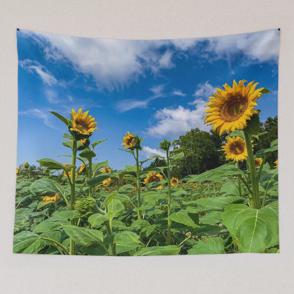 Item preview, Sunflowers in the Field designed and sold by Craig Kauzmann.