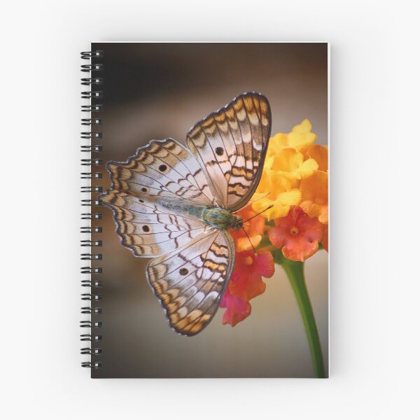 Item preview, White Peacock Butterfly on Lantana designed and sold by richardbryce.