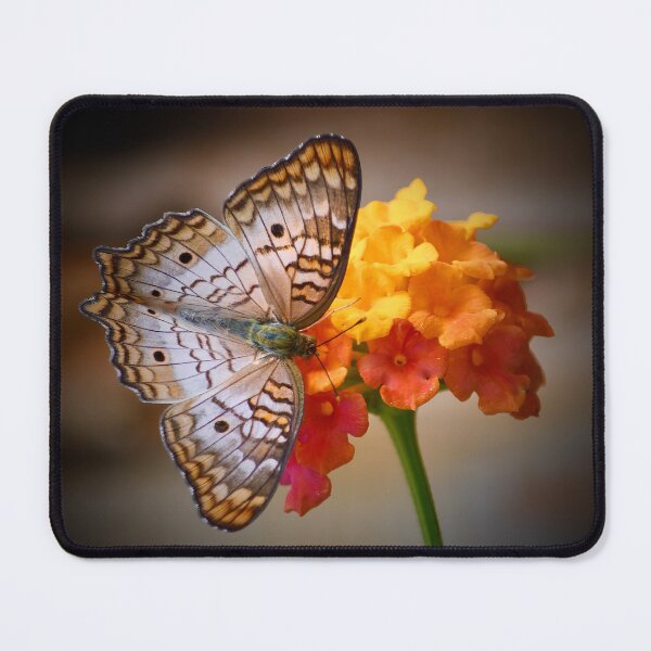 Item preview, White Peacock Butterfly on Lantana designed and sold by richardbryce.