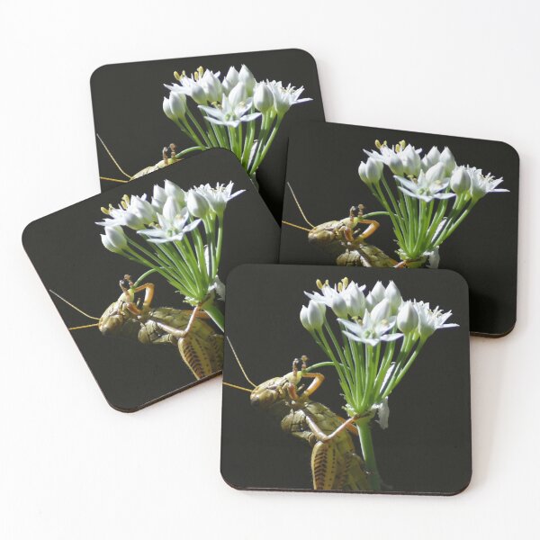 Item preview, Gratitude designed and sold by Elliot L..