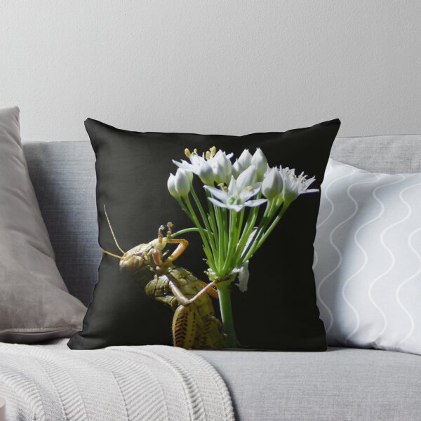 Item preview, Gratitude designed and sold by Elliot L..
