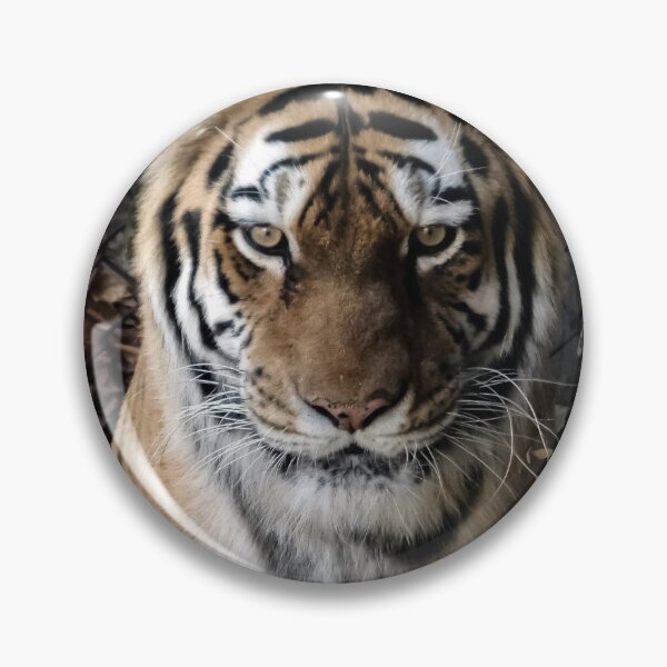 Item preview, Tiger Close Up By Brandon Cable  designed and sold by BrandonArtWorld.