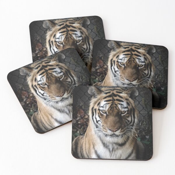 Item preview, Tiger Close Up By Brandon Cable  designed and sold by BrandonArtWorld.