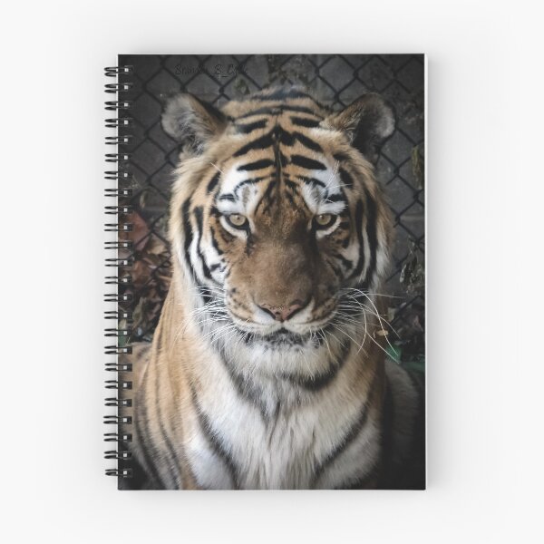 Item preview, Tigre de cerca por Brandon Cable designed and sold by BrandonArtWorld.