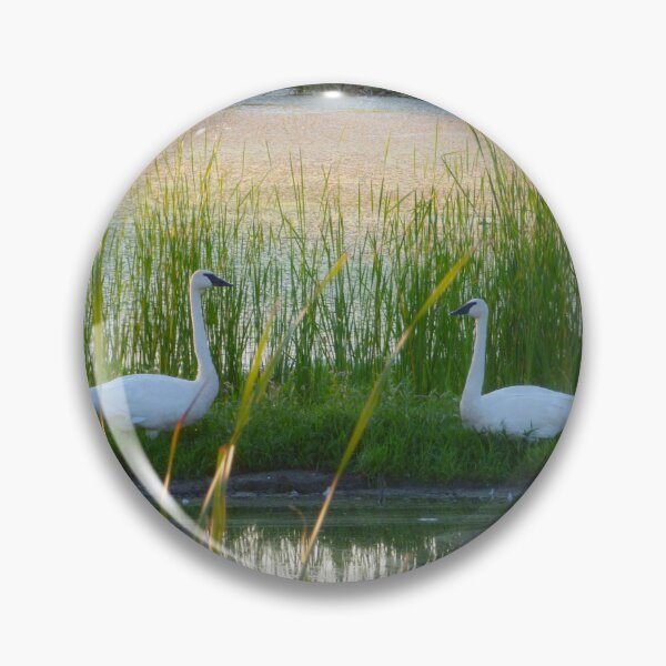 Artikelvorschau, Schwäne auf dem See von Brandon Cable entworfen und verkauft von BrandonArtWorld.