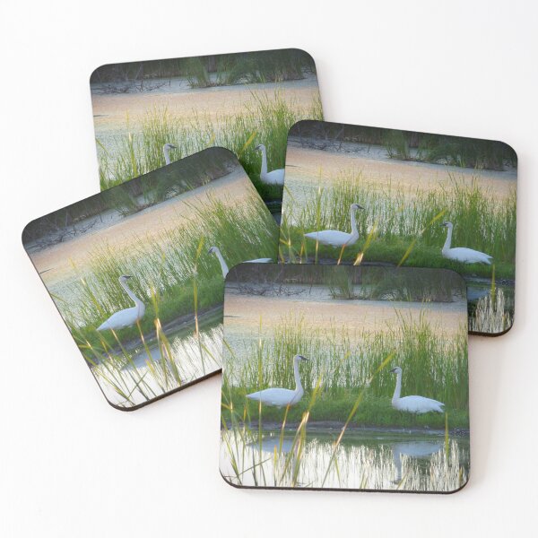 Item preview, Cisnes en el lago por Brandon Cable designed and sold by BrandonArtWorld.
