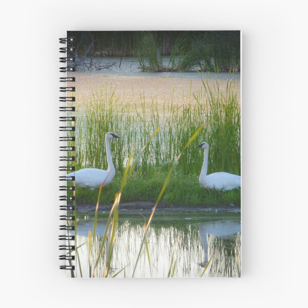 Item preview, Cisnes en el lago por Brandon Cable designed and sold by BrandonArtWorld.