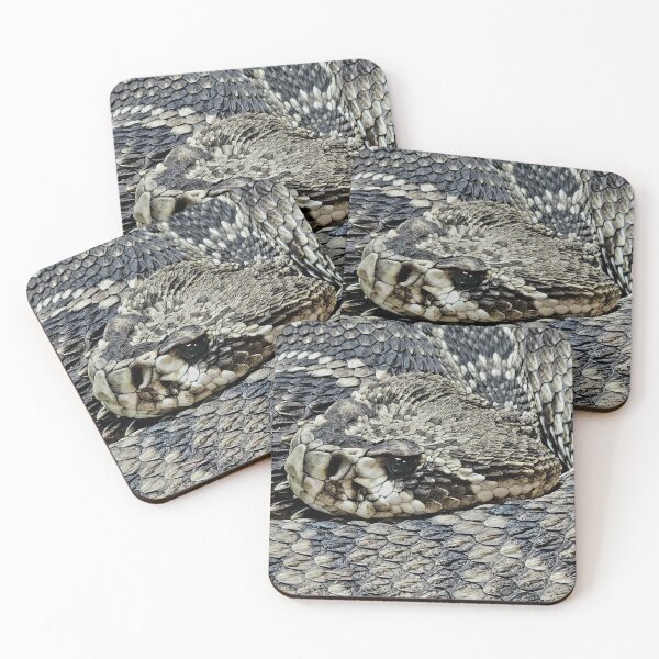 Item preview, Venomous Australian Timber Rattlesnake in Ballarat designed and sold by Michael Voyler.