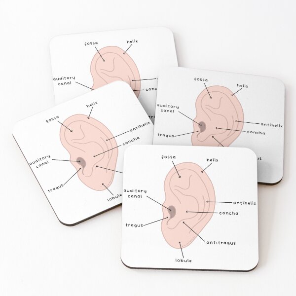 Item preview, Labeled Ear Diagram designed and sold by CreatedbyLex.