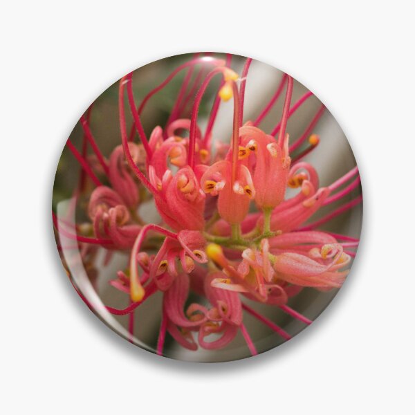 Item preview, Grevillea 2 designed and sold by polyhymnia14.