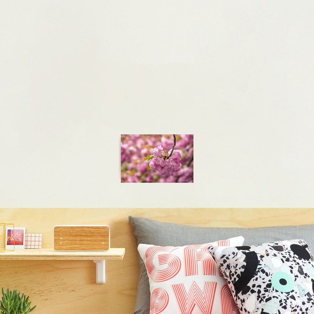 Item preview, Photographic Print designed and sold by mike-pellinni.