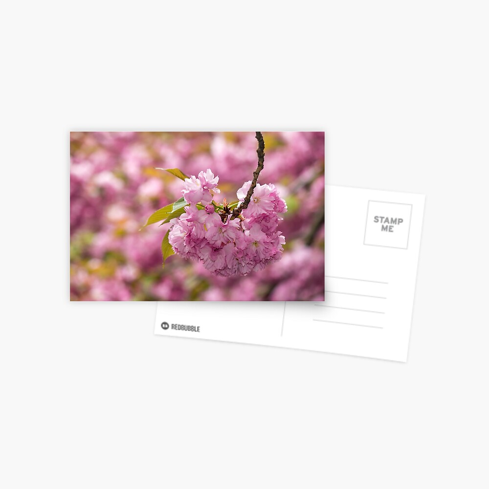 Item preview, Postcard designed and sold by mike-pellinni.