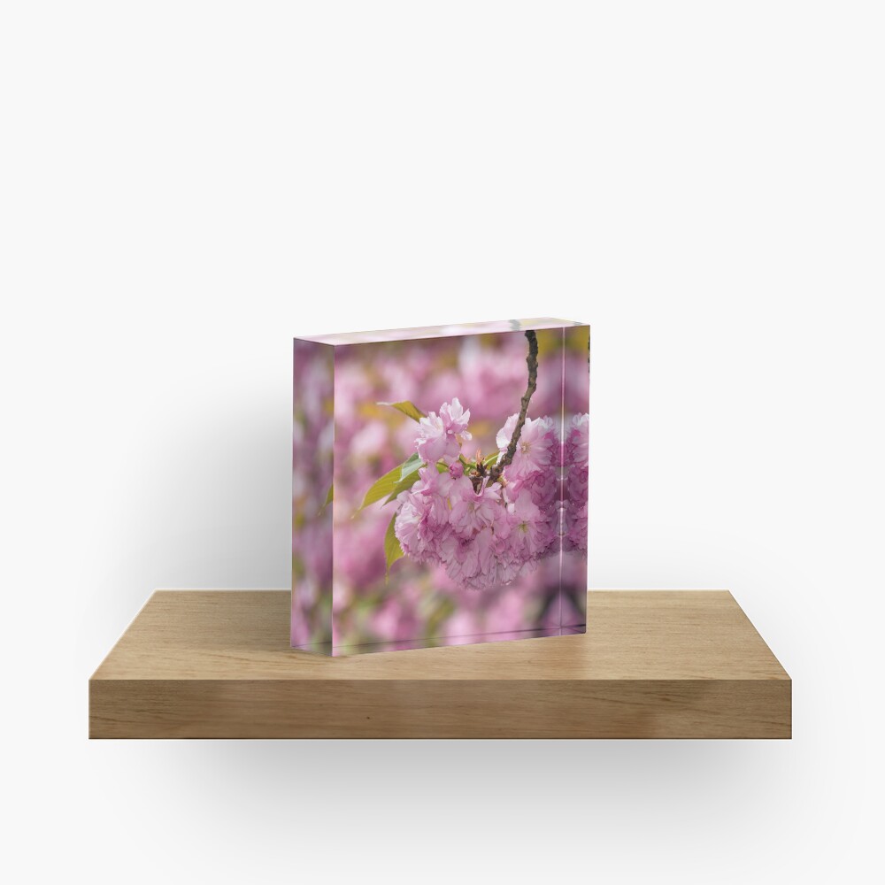 Item preview, Acrylic Block designed and sold by mike-pellinni.