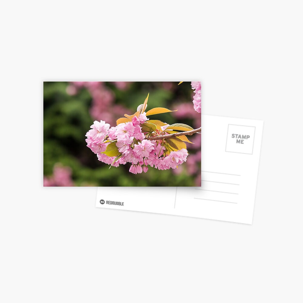 Item preview, Postcard designed and sold by mike-pellinni.