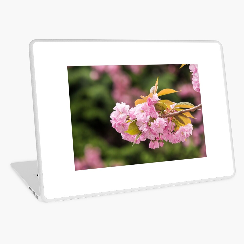 Item preview, Laptop Skin designed and sold by mike-pellinni.